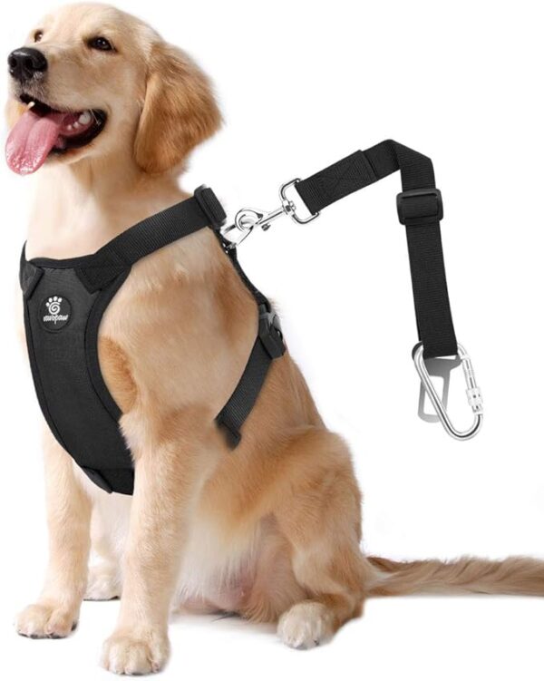 Dog Seat Belt Safety Vest